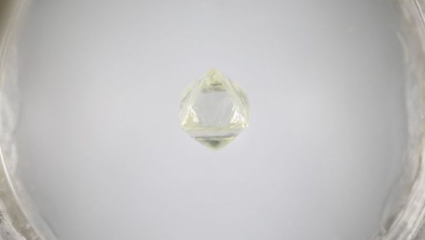 Princess Diamond image
